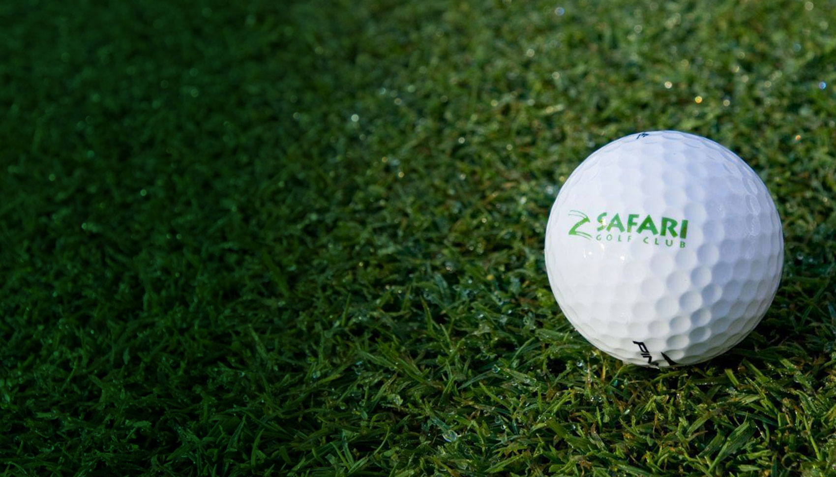 safari Golf golfball